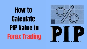 How to Calculate PIP Value in Forex Trading