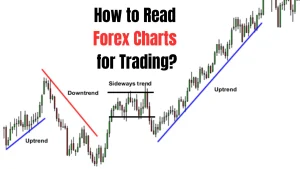 How to Read Forex Charts for Trading?